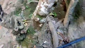 Pingo na bunda with El Toro de Oro, Paty Bumbum, and Casal de Primos in African style