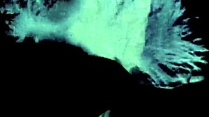 Dark Lantern Entertainment Presents Vintage Tits Pussy Hairy Riding Beaver Natural Tits