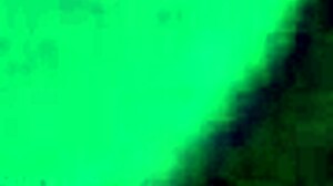 Raw ass and pussy action with one more slut