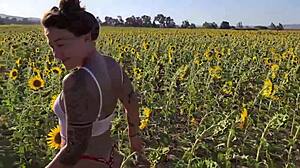 desafio no campo de girassol, you're transando na plantação as damiana brasileira safada pela europa ep6?