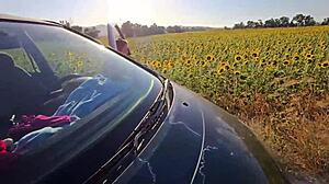desafio no campo de girassol, you're transando na plantação as damiana brasileira safada pela europa ep6?