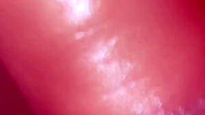 日本继母惊喜继子生日口交并近距离射嘴里