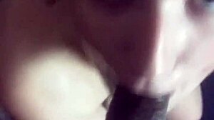 pato big cock fucks uglygalz and queen diva