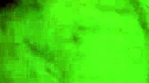 Ready for raw butt hole action?