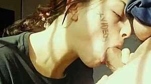 Subtle Video for Verification