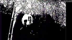 prettifun starts with light touches in a rough sex session that builds into intense music-backed pounding over time