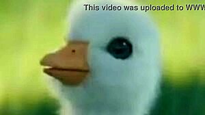 Interviewing commentators part 2 with patito shitpost and soygaulex in detail