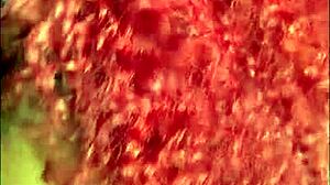 Big Ass Redhead Latina Submits To Best Friend's Boyfriend Commands