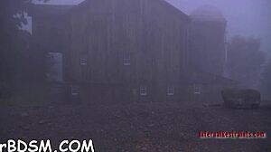 Naked Slut Experiences Tight Pussy Orgasm in Wet Cunt Fucking with Sucking and Bdsm Elements