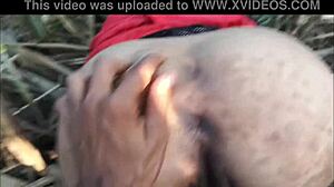 Step sali gets pounded hard in sugarcane field for outdoor desi sex thrill!