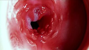 Big orgasm inside the anus fantastic moaning orgasm and a lot of sperm in anal cum on ass 😍🍆