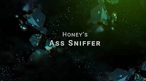 Ashlynn casually dominates honey with intense lesbian face sitting and ass humiliation on the couch in high definition.