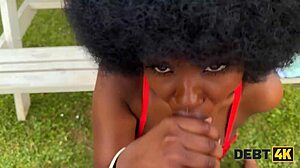 Debt4k Scenario With Small Debt and Intense Encounter