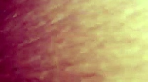 Mesum paling nikmat mendapatkan memek jual nasi uduk