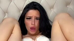 British Exchange Student Solo Play