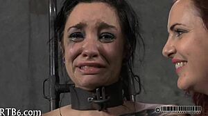 i uh feel like these sadomasochism amateurs are into wild stuff ya know