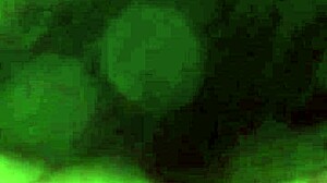 my jealous friend fucks me hard before leaving his dick drives me wild with horny desire