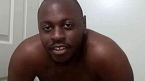 Why does my pet dog teach me clean bathroom habits without anus mess, and can you spot anything unusual?