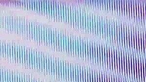 spicy latina rides big fat dick outdoors during bbq??