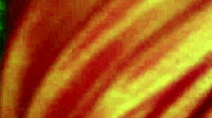 Hot Indian XXX Desi Bhabhi Sex