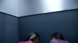 Austin kincaid and brooke haven take dick together