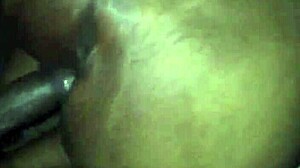 Ghetto bbw milf spreads huge ass while holding back cum