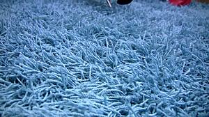 oh man, alexis silver really has the best big breasts for that interracial assfucking and facial cumshot