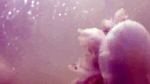 Flashing Tits and Boobs on Public Outdoor Boat