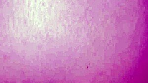 me follo a mi novia mientras mi suegra esta en el comedor con sexy moves