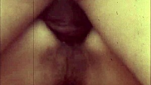 ebony slave seduces her swedish fanboy with oiled cowgirl riding on big cock