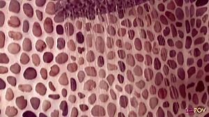 美女女同淋浴互洗后卧室狂干