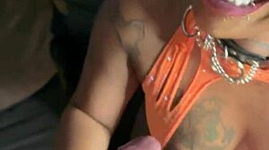 Pure Ecstasy Leads to Intense Creampie Moment