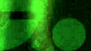 Horny After Strip Club Dancing And Grinding On Hard Cocks Needing Pussy Drilled By Daddy