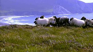 Group exhibition of 26 edenists at Tate Modern