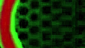 rome major bangs marcy diamond's plump pussy poolside with big black cock