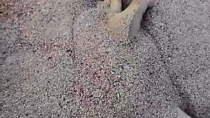 Hey, feeling these bare feet in sand nature foot fetish vibes 🏖️👣