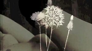 i'm exploring vintage dark lantern london interracial taboo