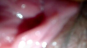 shaved big pussy creampie tight orgasm wet pounding pretty amateur