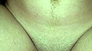 Vagabond Couple's Playful Ride And Release