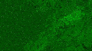 wanna see this crazy 18yo pee panties on public beach?