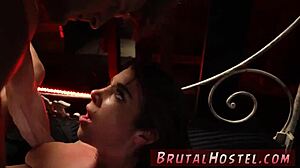 Hardcore Rough XXX Bounds Excited 18+ Tourist Felicity Feline