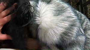 milfycalla's fur coat blowjobs got me hard! 🔥🍆💦