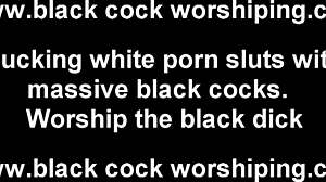 picture your wife dominated by a massive black monster cock in brutal interracial bdsm
