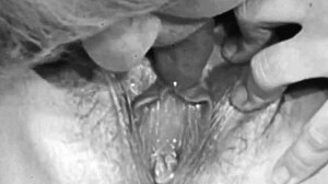 ever seen vintage lesbians eat hairy pussy in threesome