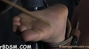 extreme sadomasochism slut sucks horny cock oral