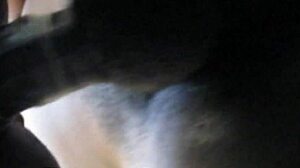 bareback doggystyle with big black cock pounding latina ass