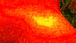 Hermoso Culo Gime Fuerte Con Verga Grande