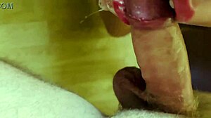 Hot babe swallows piss gets facefucked swallows cum