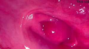 Amateur Pink Pussy Closeup 269 Days After Virginity Loss