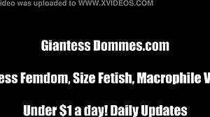 Ayanna you're my giantess kicking slave balls in domination!